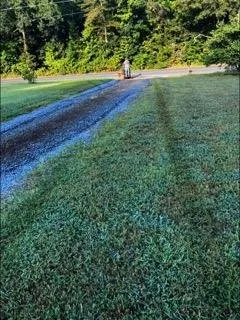 Custom landscaping services for year-round maintenance across New London, NC - Long Creek DirtWorx