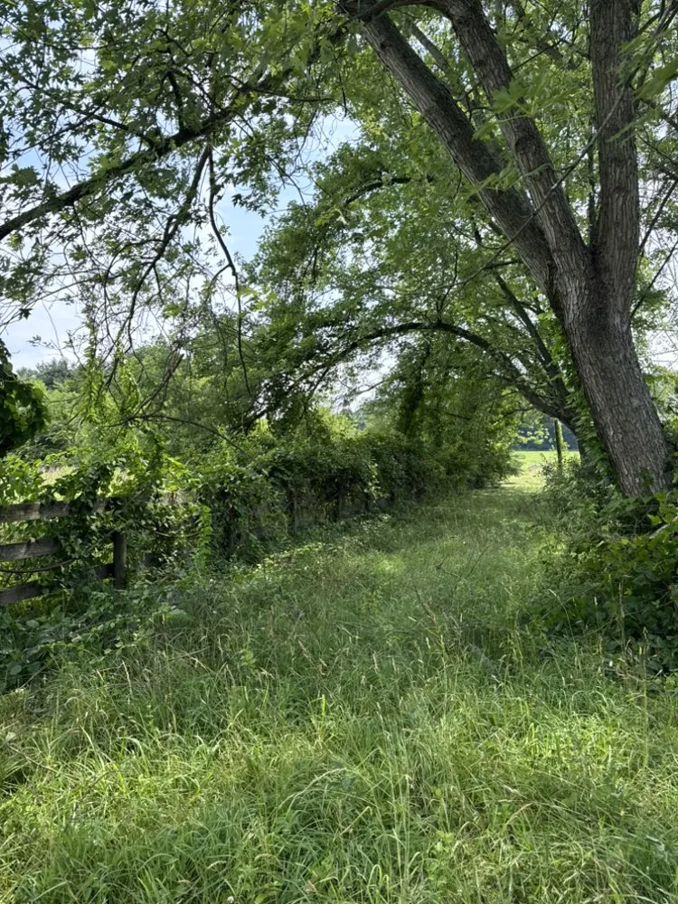 Expert lawn mowing service in Elkton, MD - Long Creek Lawn Care