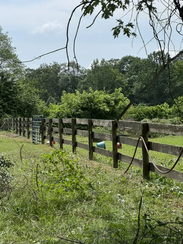 Top-rated landscaping services for homes across Elkton, MD - Long Creek Lawn Care