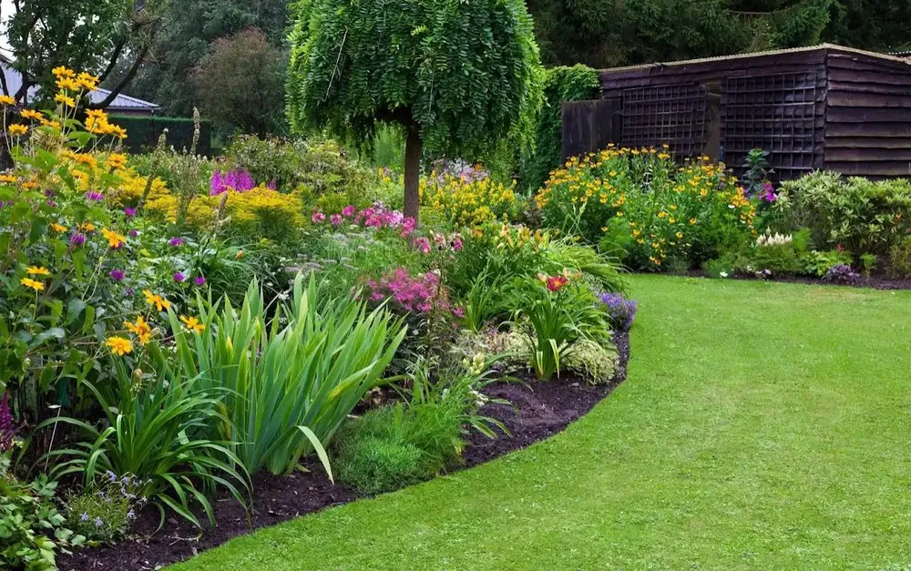 Expert yard cleanup service in North Plainfield, NJ - Long Horn Hardscaping & Landscaping