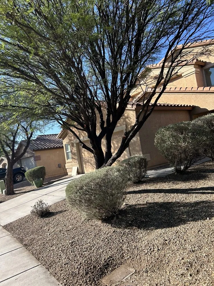 Custom landscape design near you in Tucson, AZ by Long Horn Hardscaping