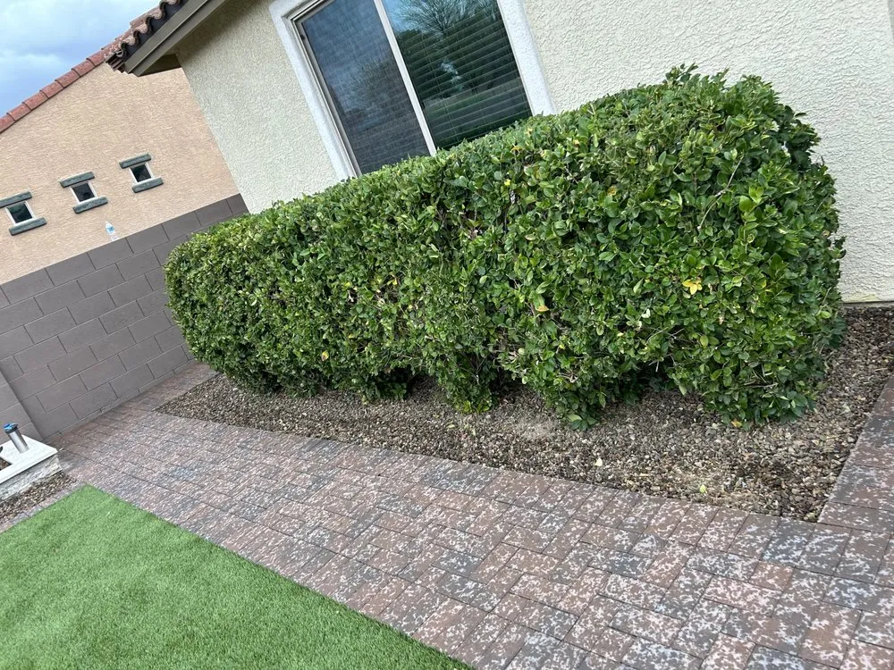 Local outdoor landscaping with custom design in Tucson, AZ by Long Horn Hardscaping