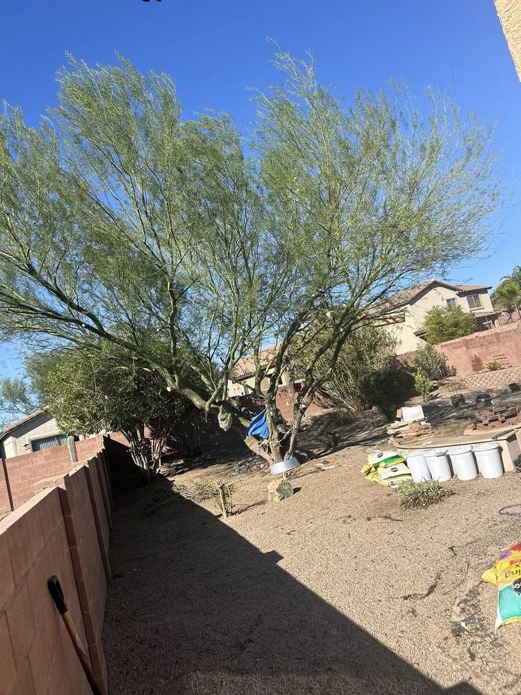 Custom lawn mowing service in Tucson, AZ by Long Horn Hardscaping