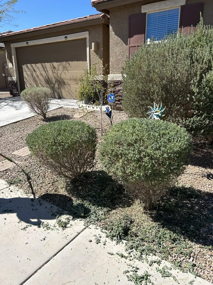 Reliable residential landscaping in Tucson, AZ by Long Horn Hardscaping