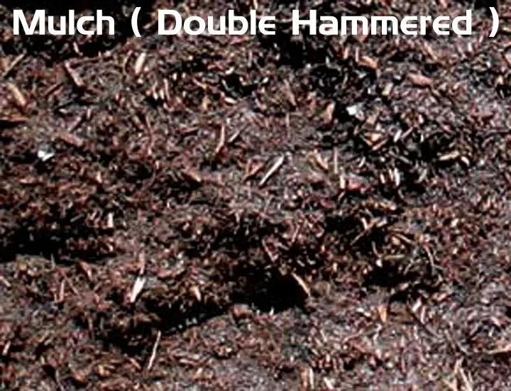 Affordable landscape design in East Northport, NY by Long Island Dirt