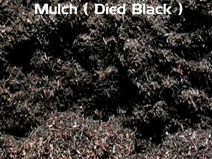 Expert landscaping services experts serving East Northport, NY - Long Island Dirt