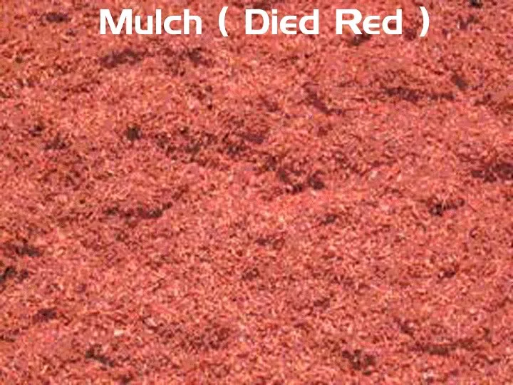 Trusted yard cleanup service in East Northport, NY by Long Island Dirt