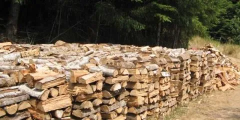 Affordable landscape design experts serving East Northport, NY - Long Island Firewood