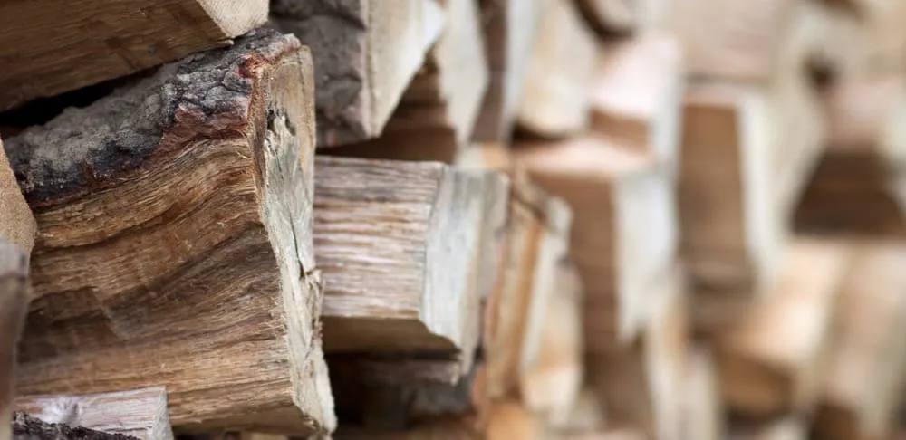 Professional yard cleanup service in East Northport, NY by Long Island Firewood