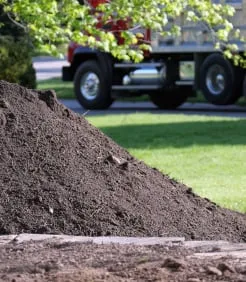 Expert landscape design for year-round maintenance in Blue Point, NY by Long Island Mulch Delivery