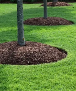 Professional lawn care service for beautiful yards across Blue Point, NY - Long Island Mulch Delivery