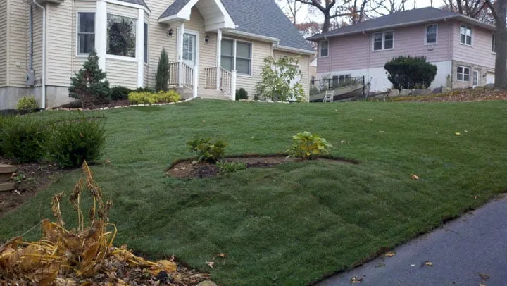 Top-rated landscape design in East Northport, NY by Long Island Sod