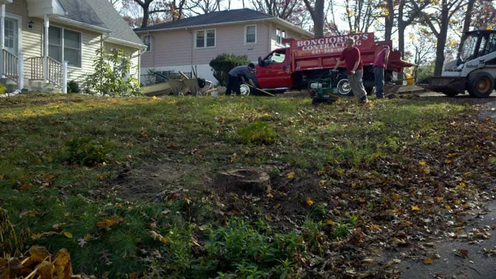 Professional residential landscaping for homes across East Northport, NY - Long Island Sod