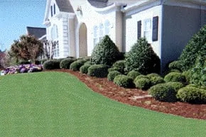 Reliable yard maintenance experts serving East Northport, NY - Long Island Sod