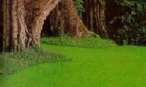 Professional outdoor landscaping for residential properties across East Northport, NY - Long Island Sod