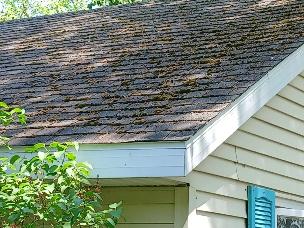 Expert outdoor landscaping for residential properties in Alpena, MI by Long Lake Property Management