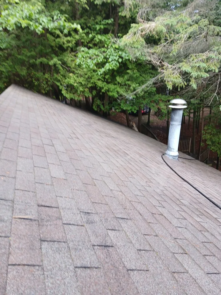 Affordable landscaping services for year-round maintenance in Alpena, MI by Long Lake Property Management