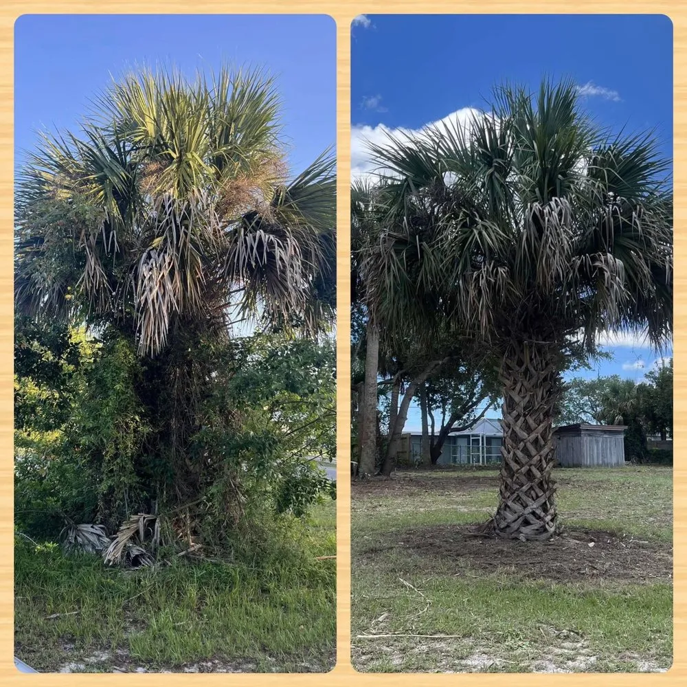 Professional landscape installation in Grant Vlkria, FL by Long Lasting Lawns