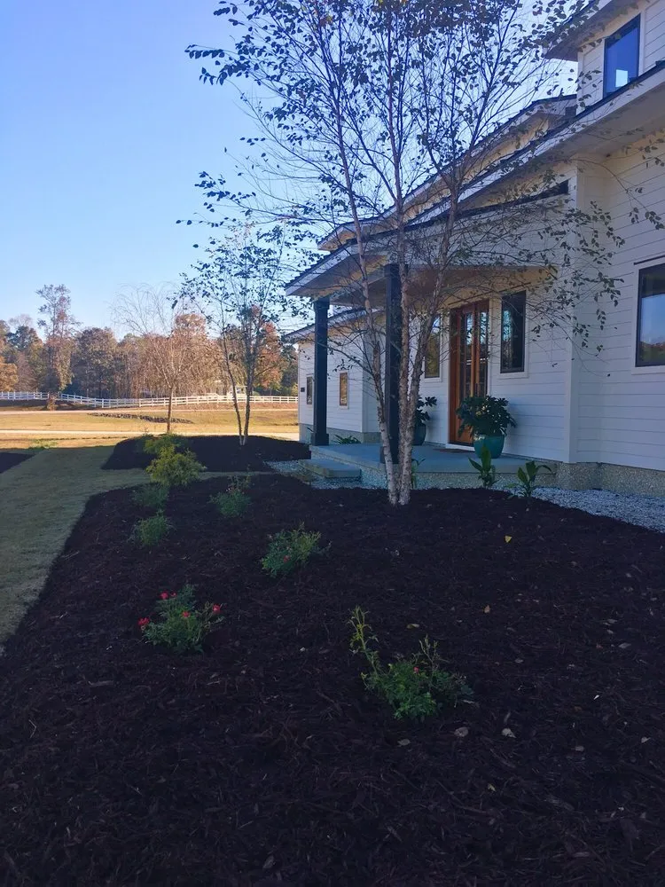 Reliable landscape design in Wilmington, NC - Long Leaf Organics
