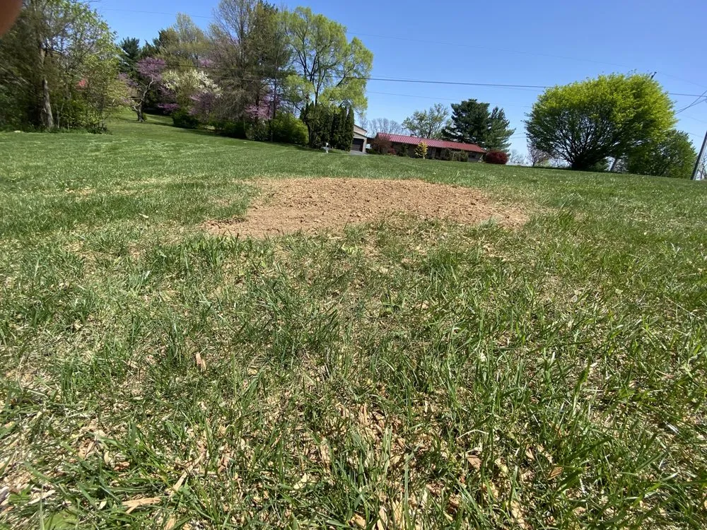 Professional lawn care service in Lititz, PA by Long Plant Care