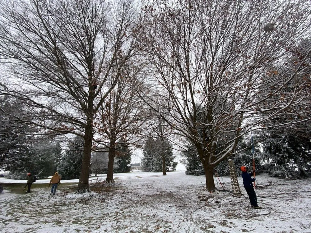 Local yard maintenance experts serving Lititz, PA - Long Plant Care