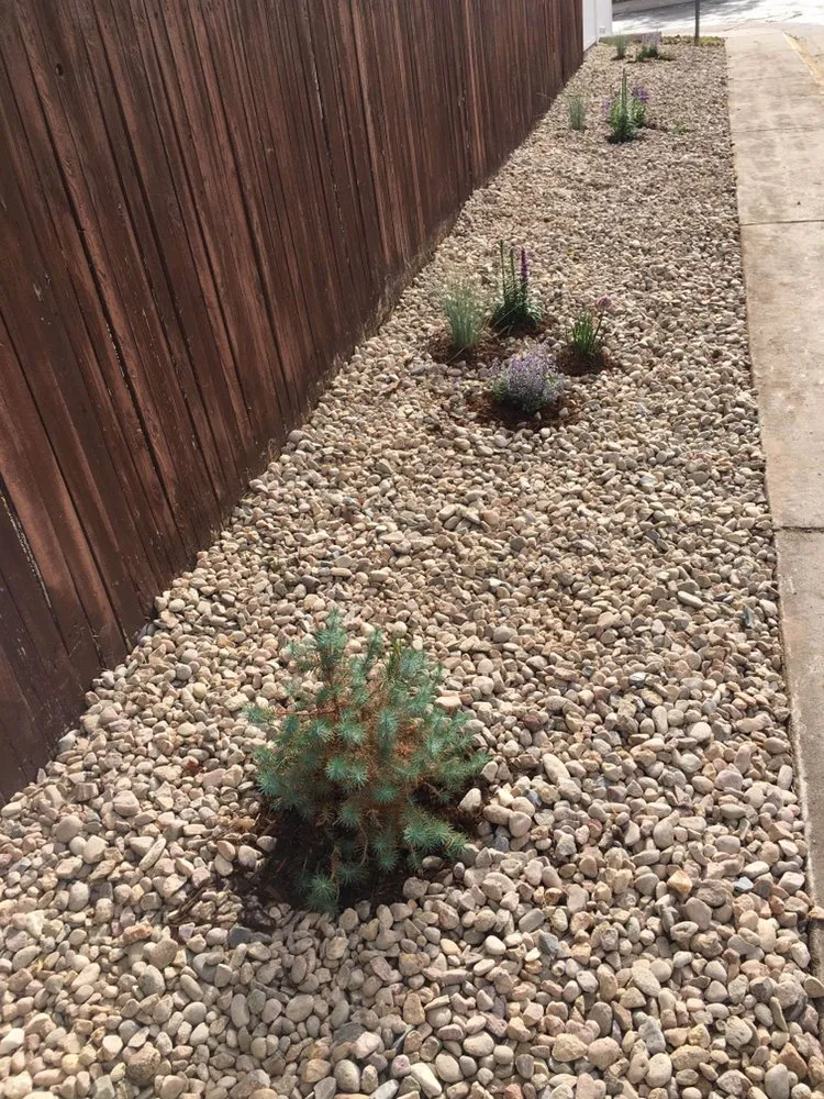 Affordable yard maintenance in Longmont, CO by Long vista landscaping