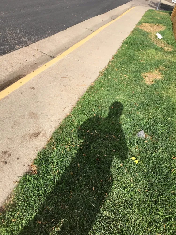 Custom landscaping services experts serving Longmont, CO - Long vista landscaping