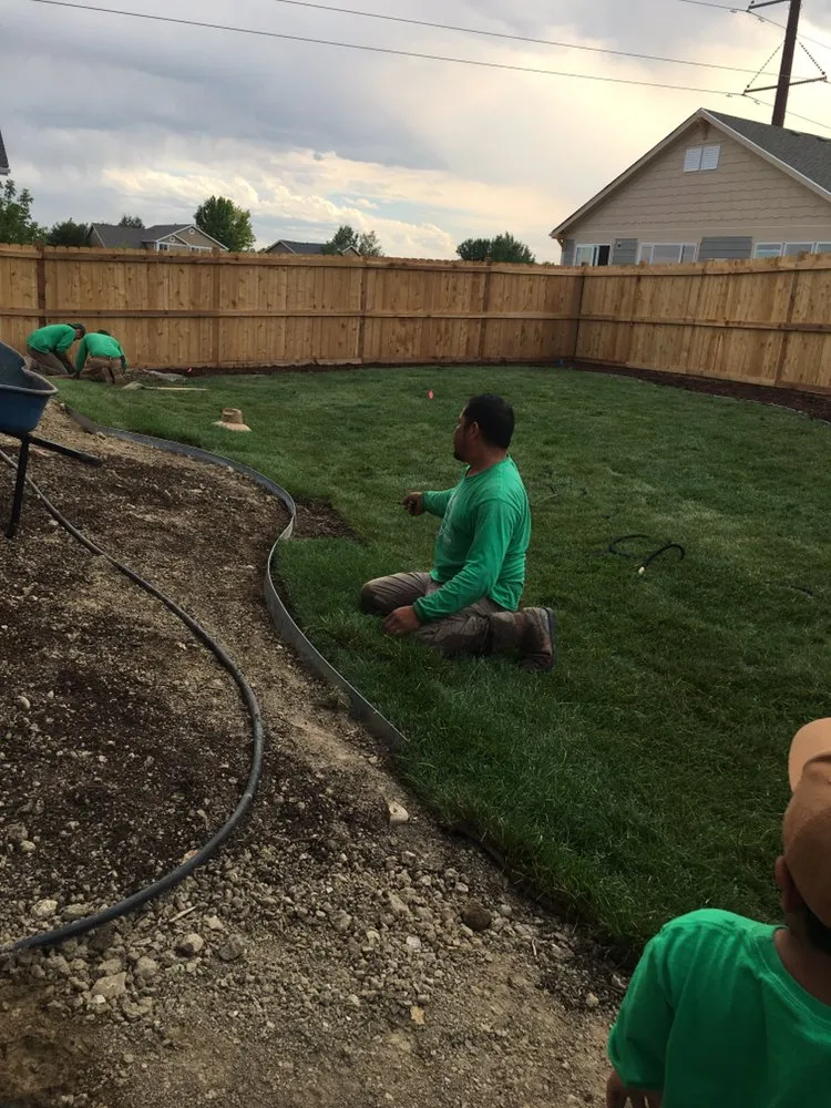 Reliable yard cleanup service experts serving Longmont, CO - Long vista landscaping