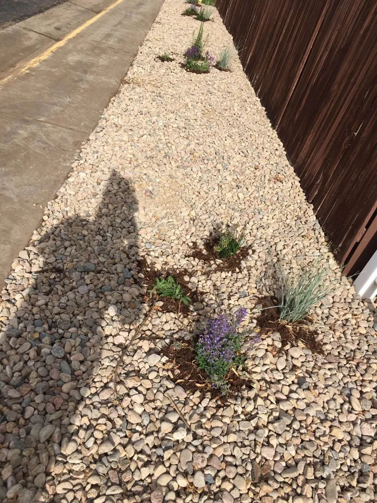 Professional yard cleanup service in Longmont, CO by Long vista landscaping