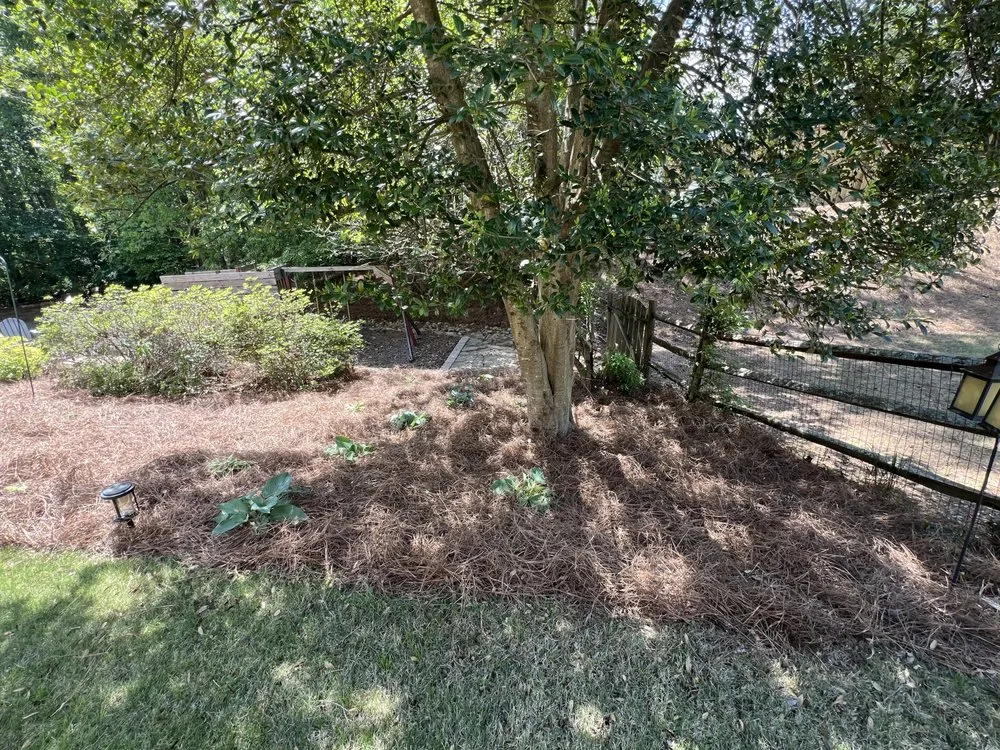 Top-rated landscape installation with custom design across Cumming, GA - Long Wood