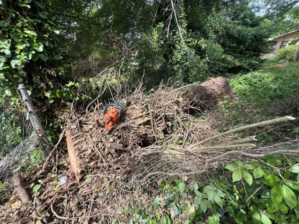 Expert lawn mowing service for residential properties across Cumming, GA - Long Wood