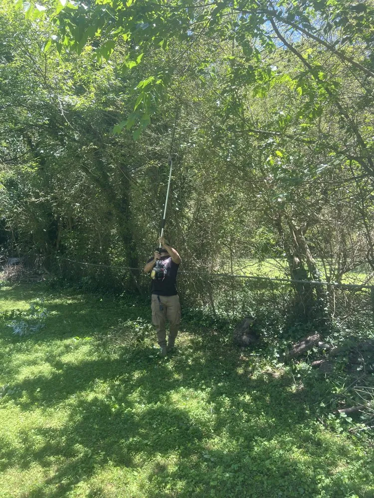 Reliable lawn mowing service for homes in Cumming, GA by Long Wood