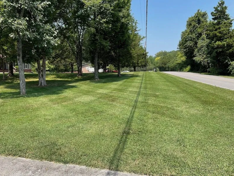 Top-rated yard maintenance for residential properties across Knoxville, TN - LONG WORK