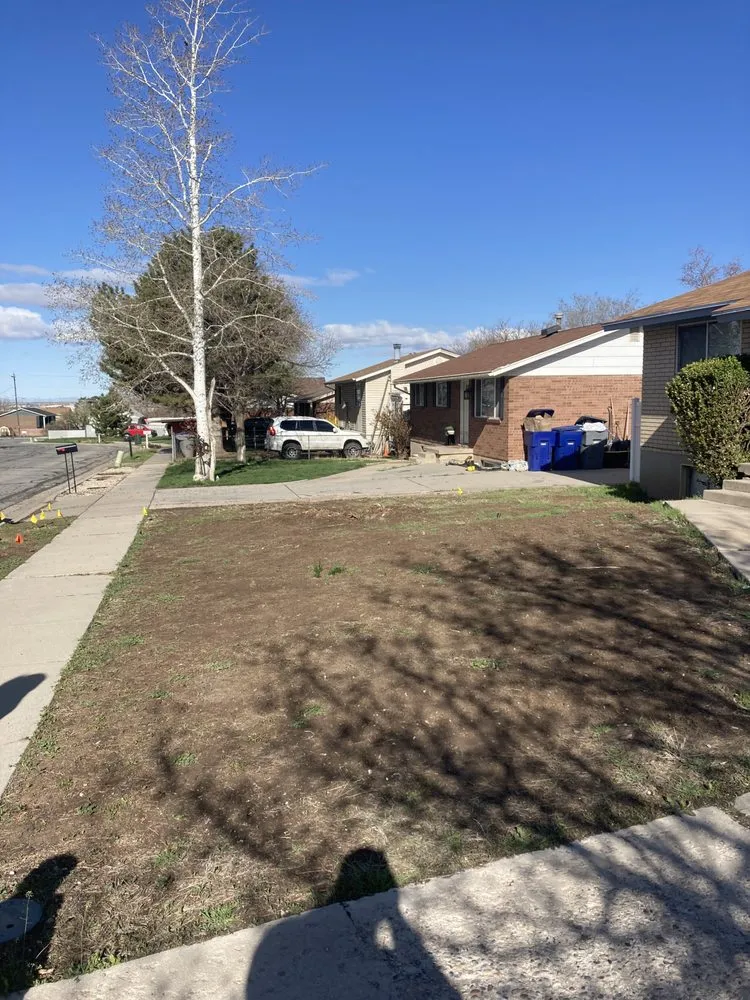 Custom landscaping services in Layton, UT by Longani Brothers