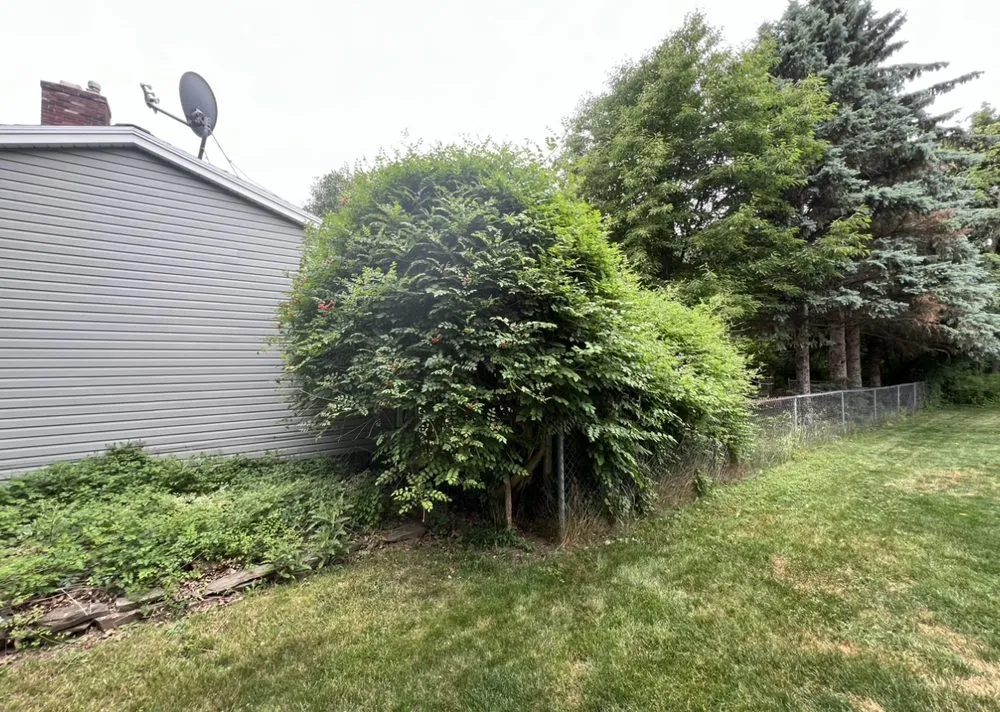 Custom outdoor landscaping in Rochester, NY - Longdue Property Maintenance