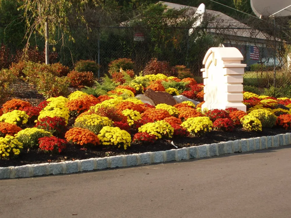 Reliable landscape design experts serving Hamilton, NJ - Longford Landscape and Excavating