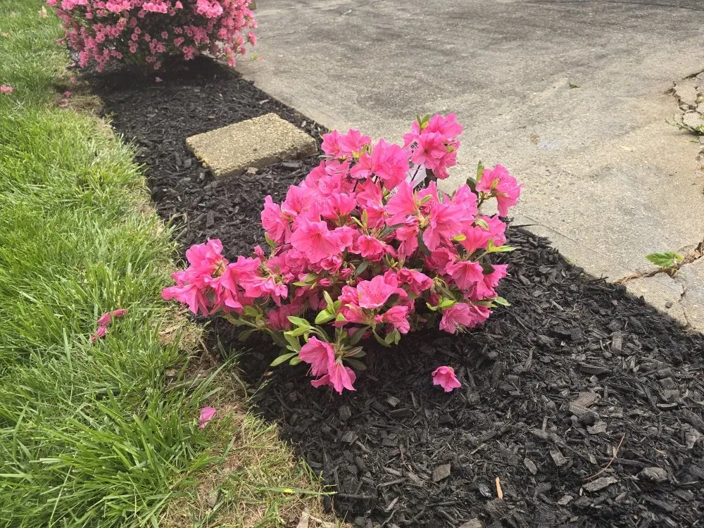 Top-rated landscaping services in Doylestown, PA - Longhorn Contracting