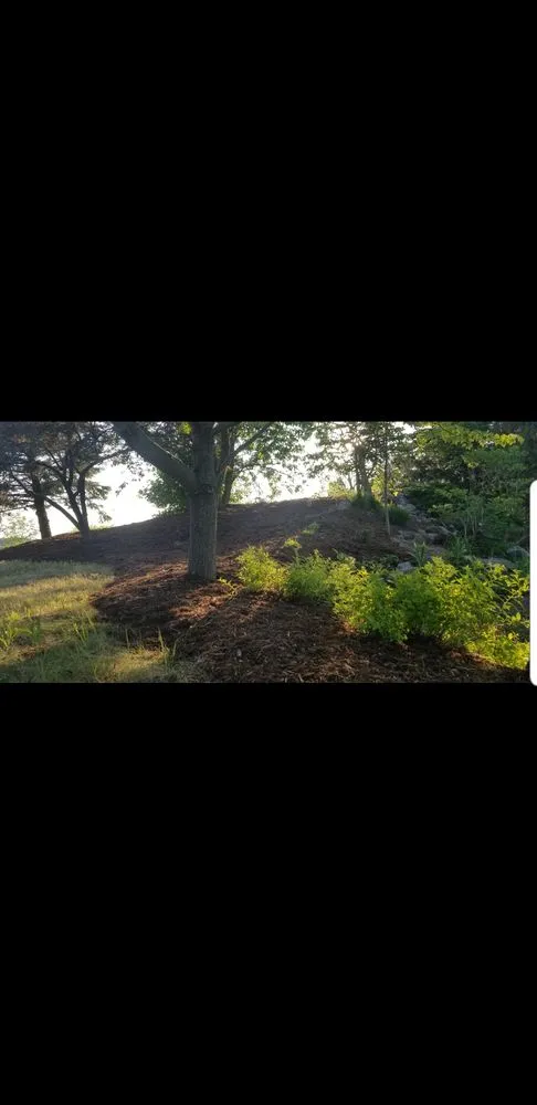 Reliable residential landscaping experts serving Elkhart Lake, WI - Longhorn Landscape