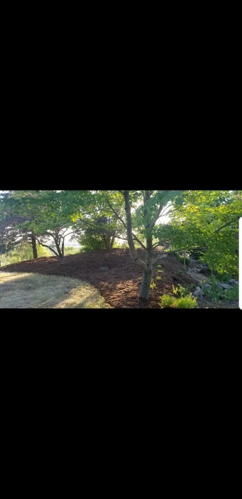 Expert landscape design in Elkhart Lake, WI - Longhorn Landscape