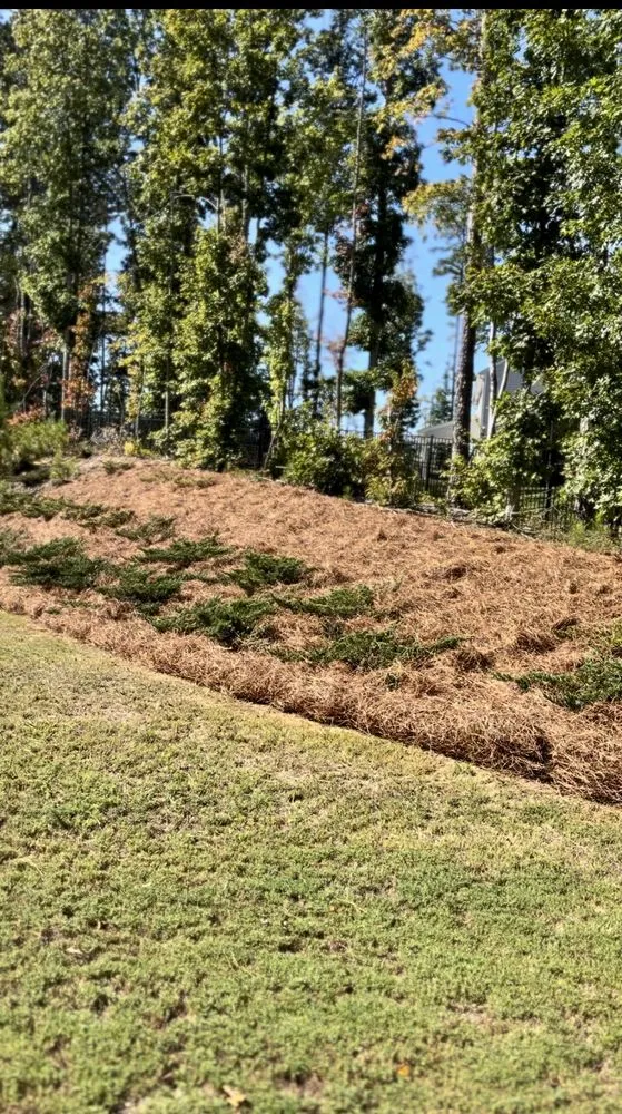 Reliable yard cleanup service in Clayton, NC - Longhorn Landscapes Designs