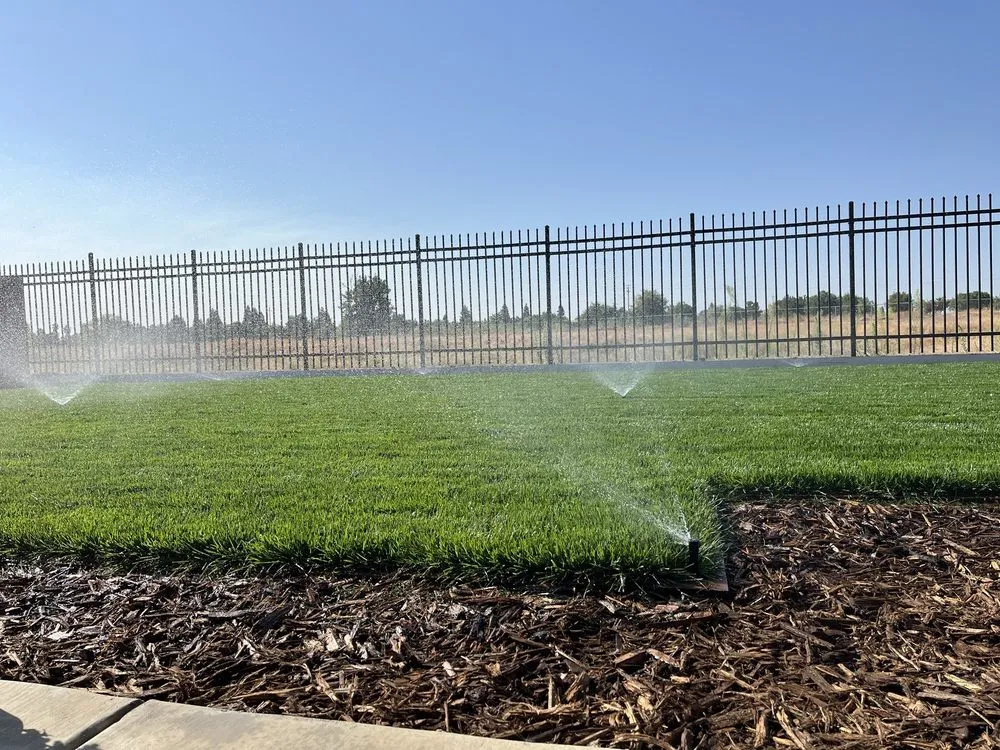 Top-rated lawn mowing service in Madera, CA - Longhorn Landscapes