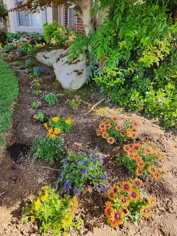 Local lawn mowing service experts serving Madera, CA - Longhorn Landscapes