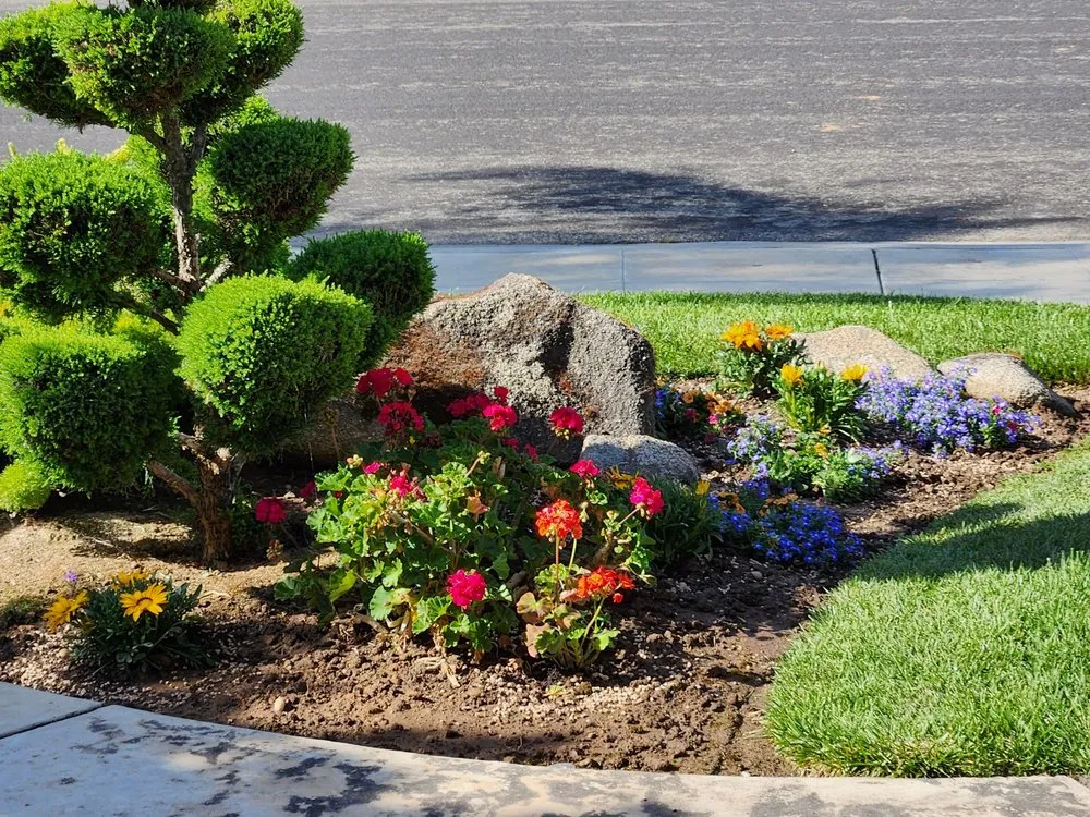 Top-rated lawn mowing service in Madera, CA - Longhorn Landscapes