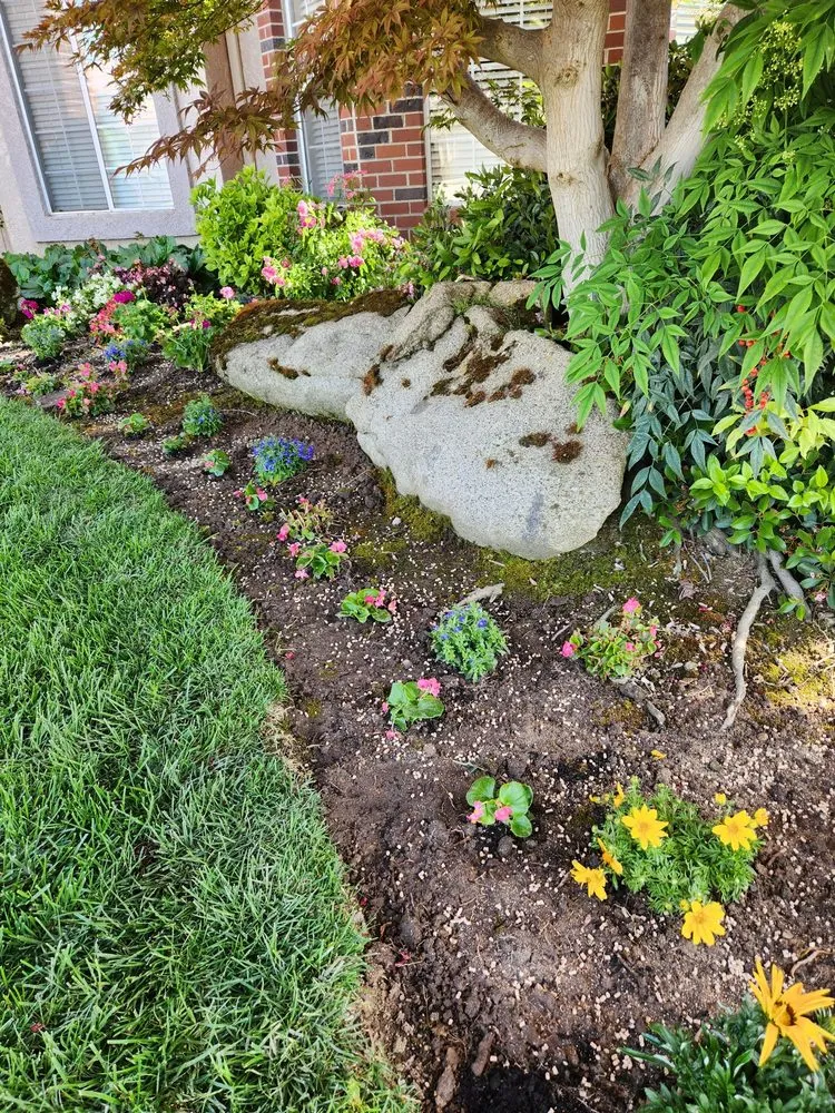 Trusted lawn care service in Madera, CA - Longhorn Landscapes