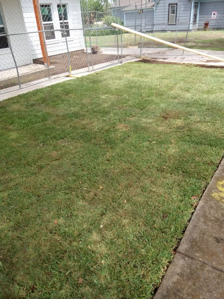 Professional yard cleanup service in Haltom City, TX by Longhorn Landscaping