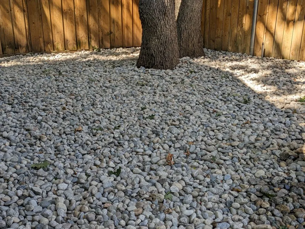 Trusted lawn care service for year-round maintenance in Haltom City, TX by Longhorn Landscaping