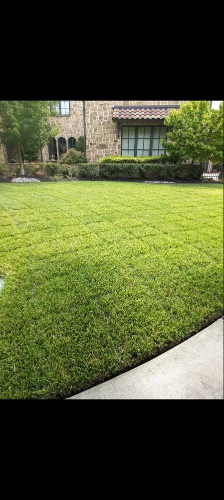 Top-rated landscape installation in Haltom City, TX - Longhorn Landscaping