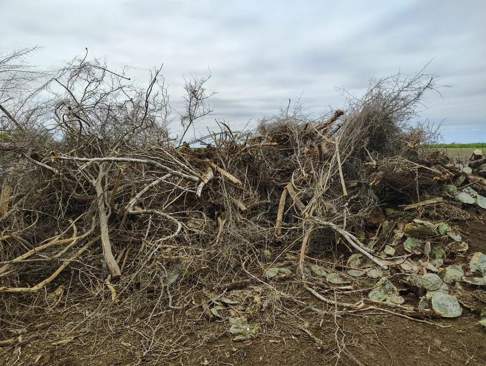 Trusted outdoor landscaping for outdoor upgrades across Floresville, TX - Longhorn Lawn Care & Tree Service