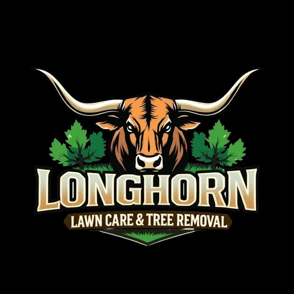 Expert landscape design experts serving Floresville, TX - Longhorn Lawn Care & Tree Service