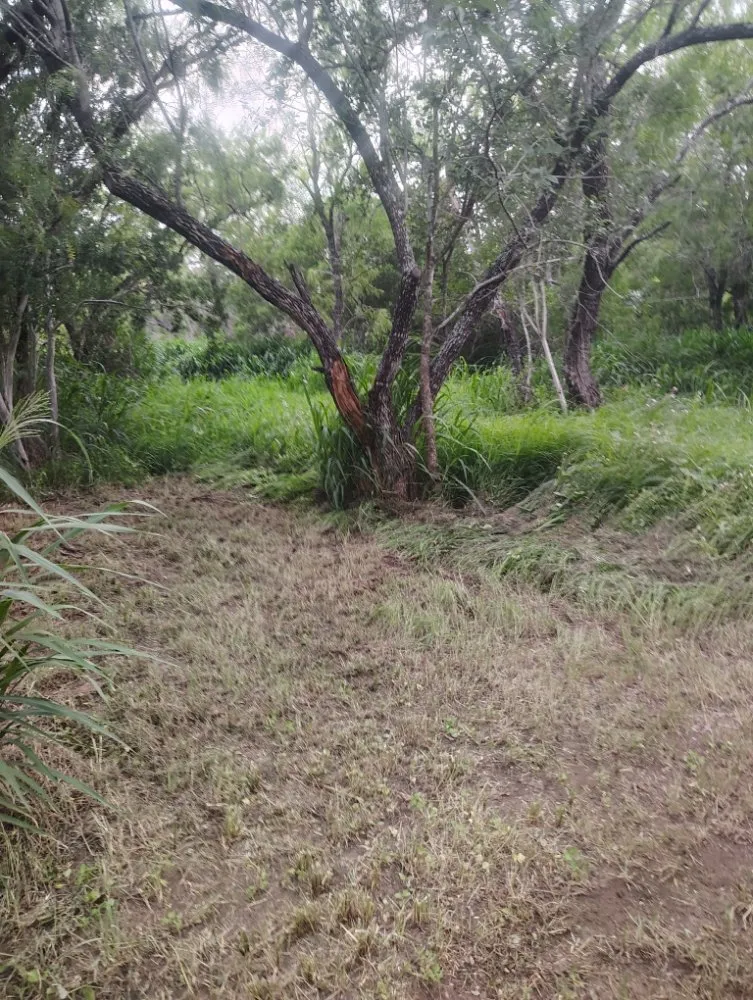 Reliable yard maintenance for outdoor upgrades in Floresville, TX by Longhorn Lawn Care & Tree Service